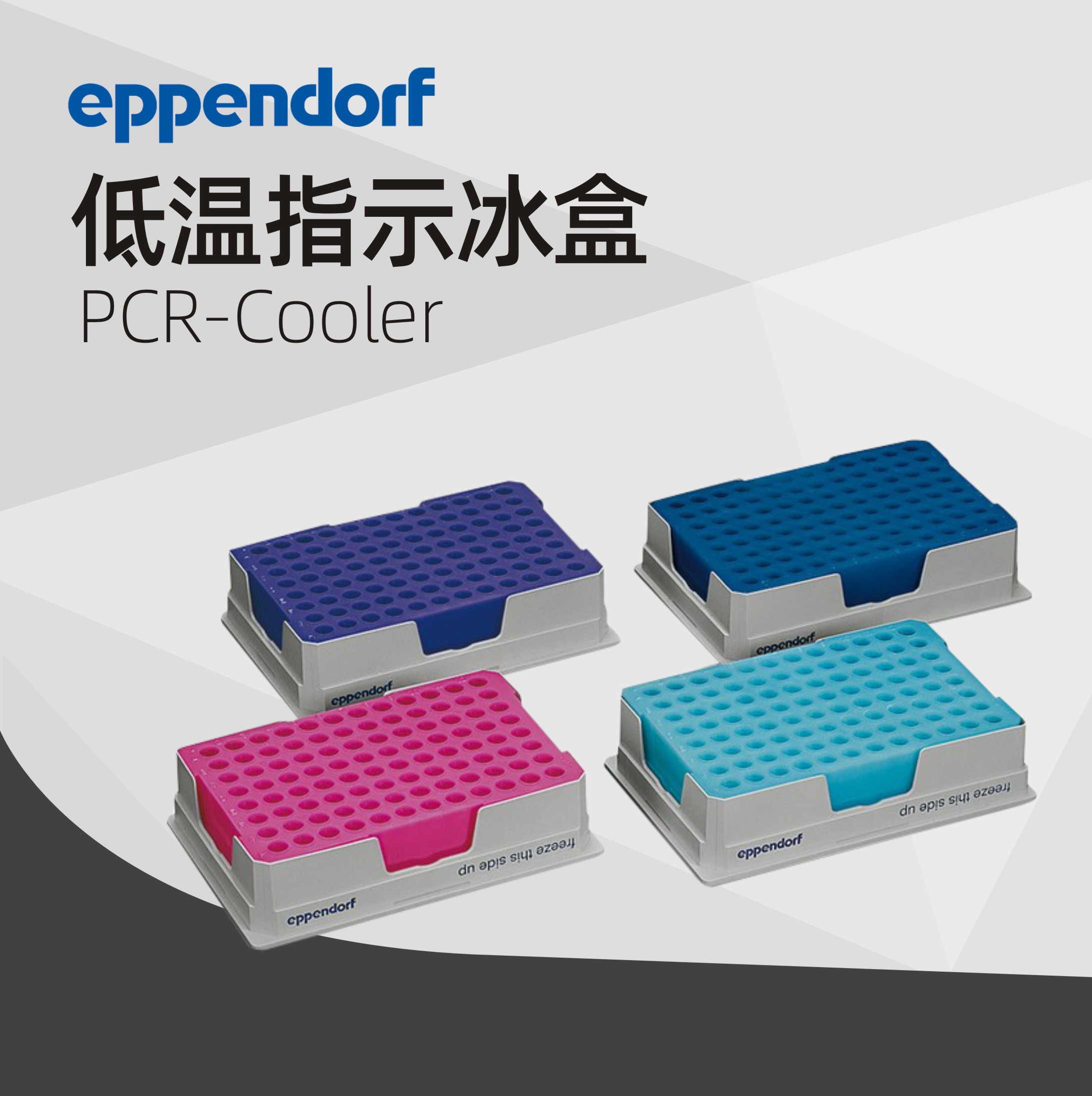 德國(guó)艾本德Eppendorf PCR-Cooler (0.2 mL) 低溫指示冰盒啟動(dòng)套裝