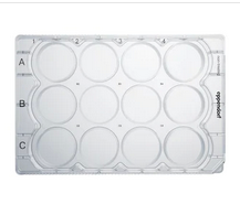 德國(guó)艾本德(Eppendorf)Cell Culture Plates,12-Well,無(wú)菌無(wú)熱原,無(wú)RNase和DNase,無(wú)人類(lèi)和細(xì)菌DNA,無(wú)細(xì)胞毒素,未處理,2mL,60塊,獨(dú)立包裝