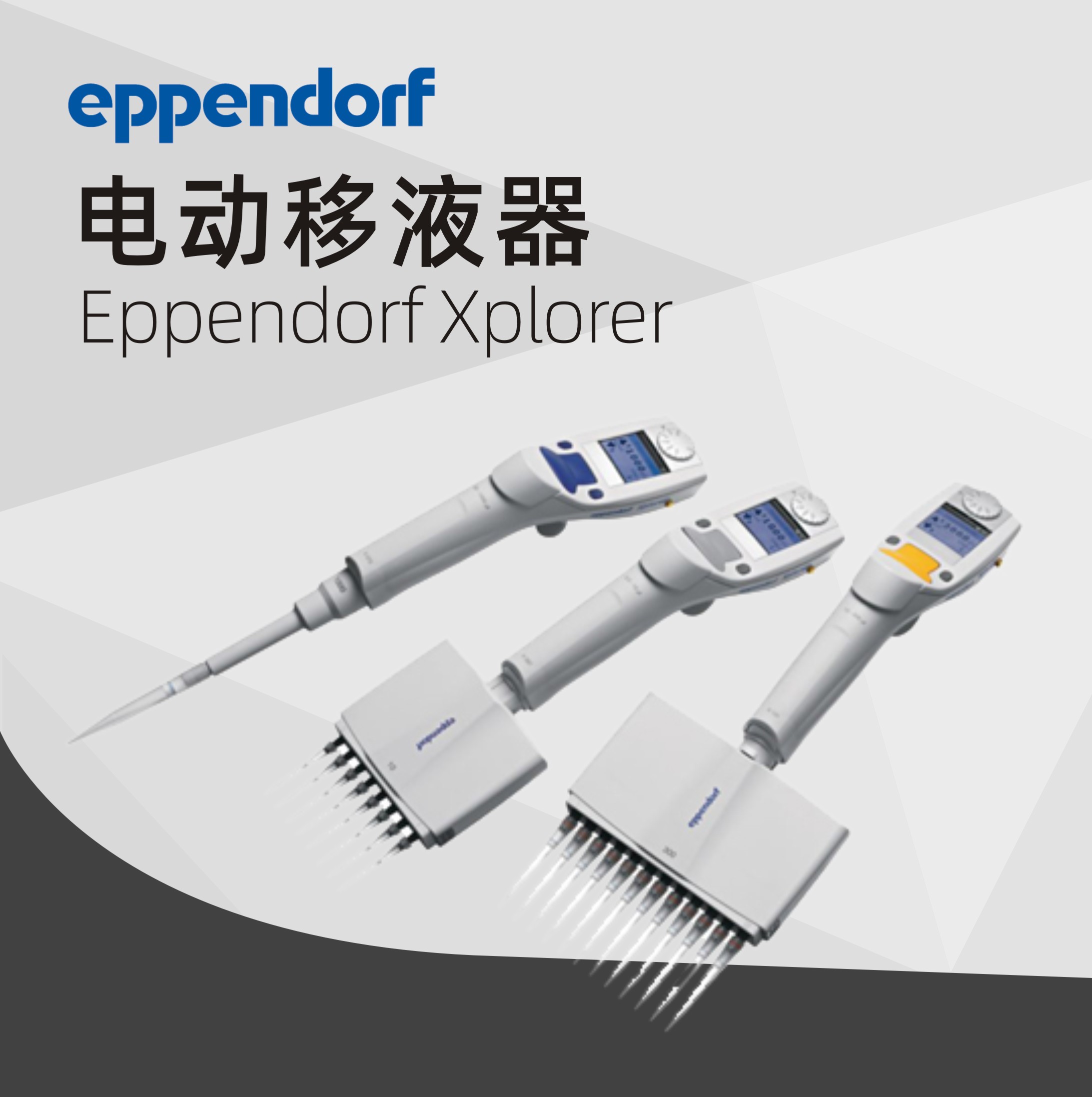 德國(guó)艾本德移液器 12 道電動(dòng)移液器 Xplorer? /Xplorer? Plus Eppendorf 